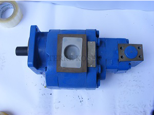 PGP / PGM620系列重型铸铁泵和电机